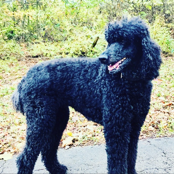 Just me - Picture 12 of 15